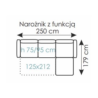 Narożnik skórzany z funkcją spania Rio AEK