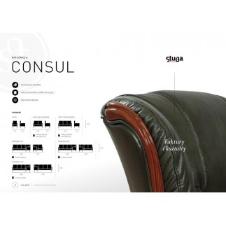 Komplet mebli skórzanych Consul Sofa 3R + 2 fotele